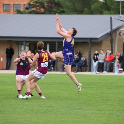 Footy24